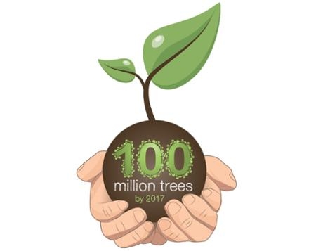 100 milionów drzew do 2017 roku